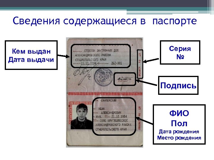 Сведения содержащиеся в паспорте Кем выдан Дата выдачи Серия № Подпись ФИО Пол Дата