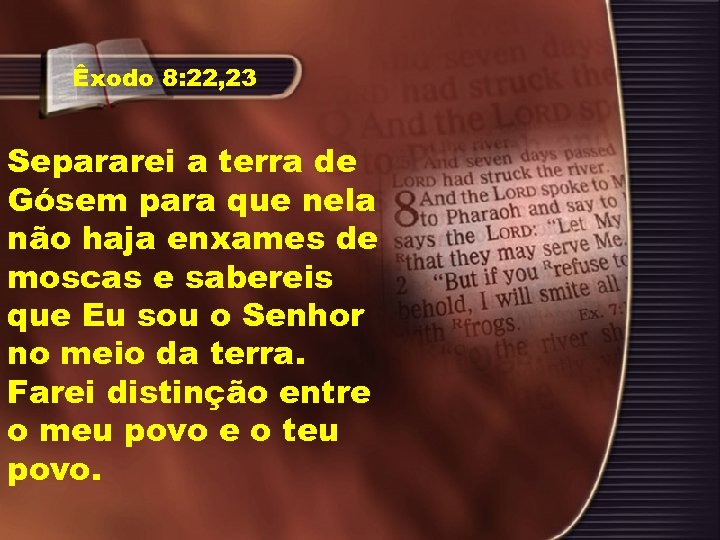 Êxodo 8: 22, 23 Separarei a terra de Gósem para que nela não haja