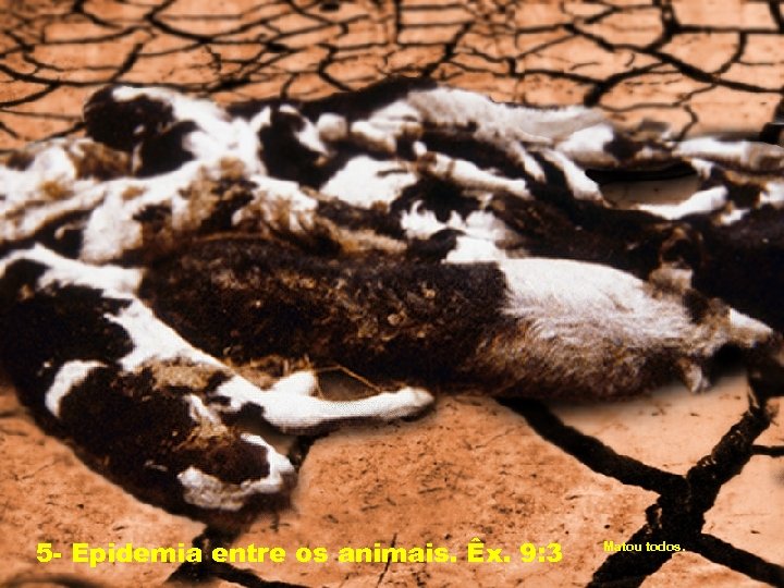 5 - Epidemia entre os animais. Êx. 9: 3 Matou todos. 