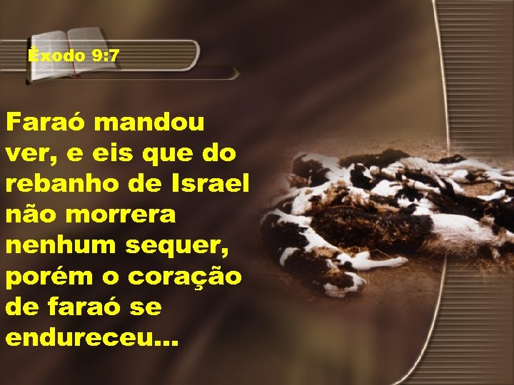 Êxodo 9: 7 Faraó mandou ver, e eis que do rebanho de Israel não