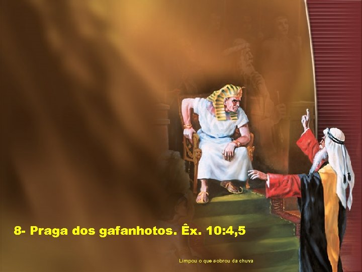 8 - Praga dos gafanhotos. Êx. 10: 4, 5 Limpou o que sobrou da