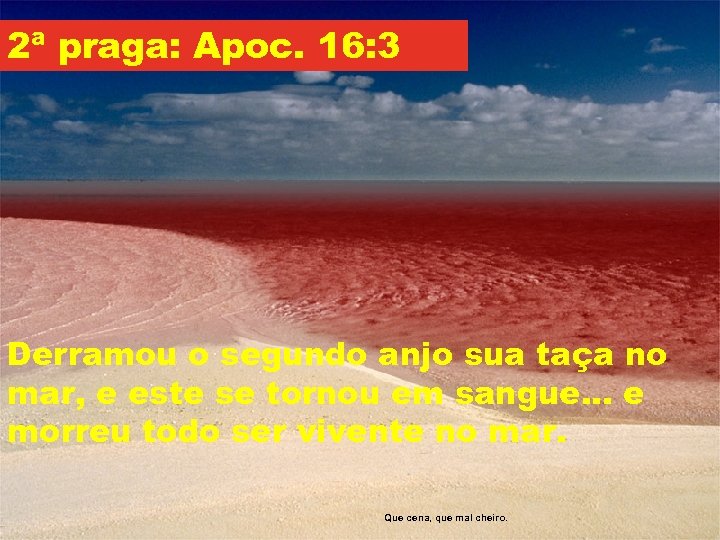 2ª praga: Apoc. 16: 3 Derramou o segundo anjo sua taça no mar, e