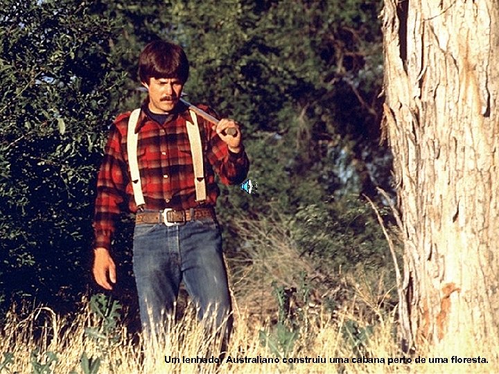 Um lenhador Australiano construiu uma cabana perto de uma floresta. 