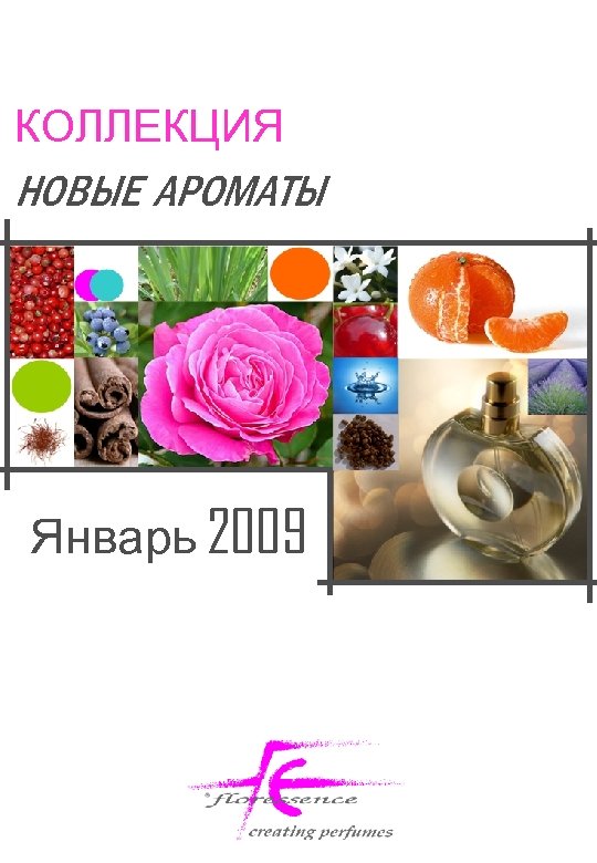 КОЛЛЕКЦИЯ НОВЫЕ АРОМАТЫ Январь 2009 