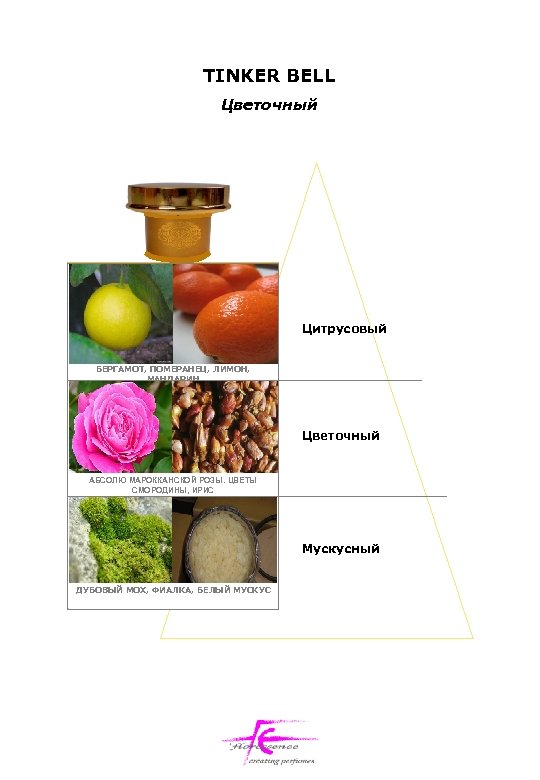 TINKER BELL Цветочный Цитрусовый БЕРГАМОТ, ПОМЕРАНЕЦ, ЛИМОН, МАНДАРИН Цветочный АБСОЛЮ МАРОККАНСКОЙ РОЗЫ. ЦВЕТЫ СМОРОДИНЫ,