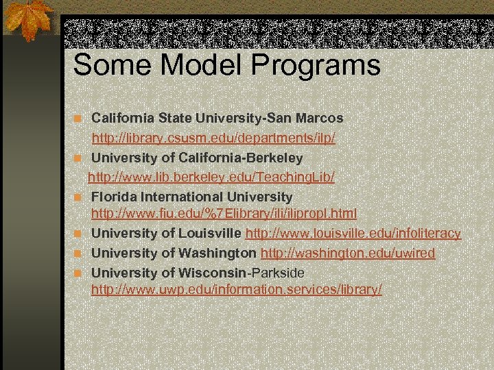 Some Model Programs n California State University-San Marcos n n n http: //library. csusm.