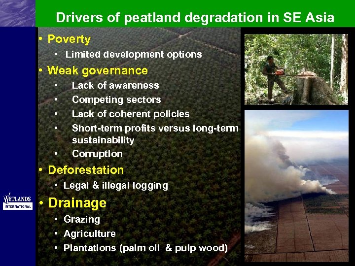 Drivers of peatland degradation in SE Asia • Poverty • Limited development options •