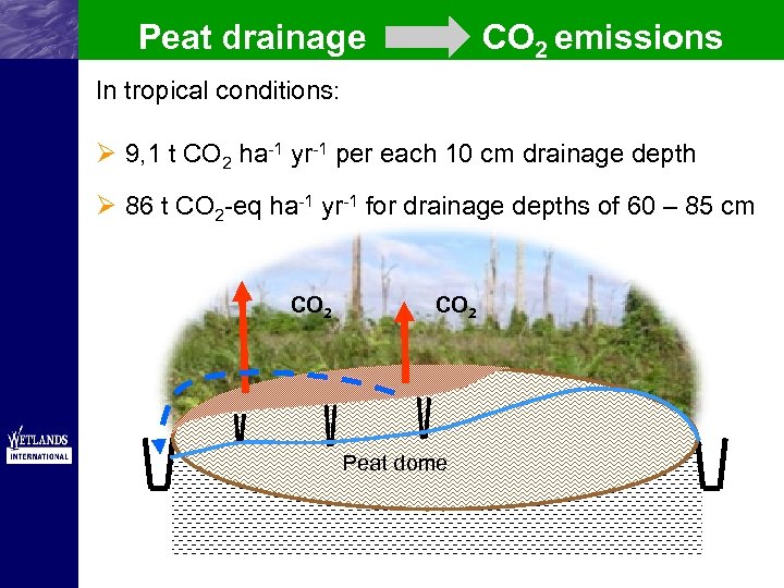 Peat drainage CO 2 emissions In tropical conditions: Ø 9, 1 t CO 2