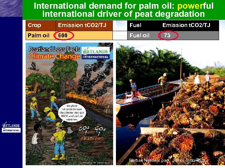 International demand for palm oil: powerful international driver of peat degradation Crop Emission t.