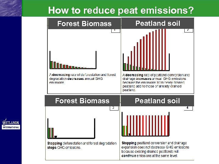 How to reduce peat emissions? Forest Biomass Peatland soil 