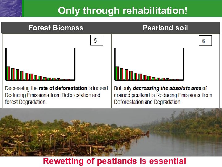 Only through rehabilitation! Forest Biomass Peatland soil Rewetting of peatlands is essential 