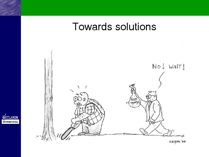 Towards solutions 