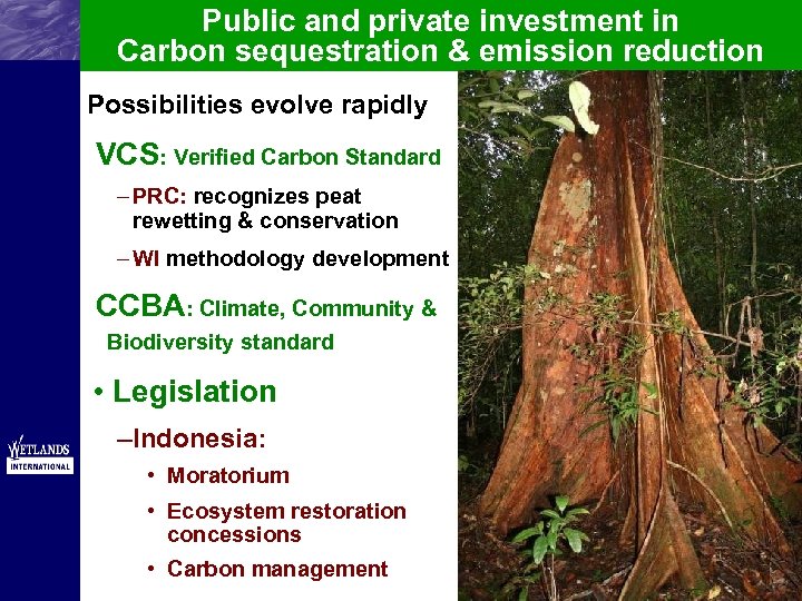 Public and private investment in Carbon sequestration & emission reduction Possibilities evolve rapidly VCS: