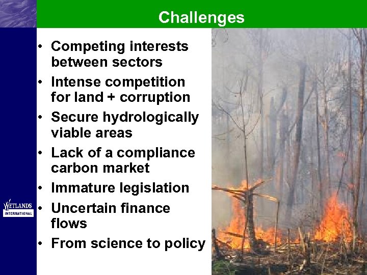 Challenges • Competing interests between sectors • Intense competition for land + corruption •