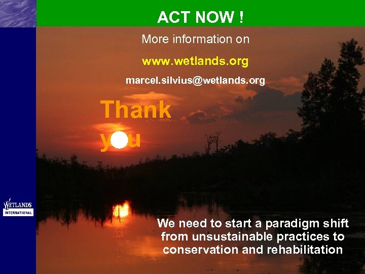 ACT NOW ! More information on www. wetlands. org marcel. silvius@wetlands. org Thank y