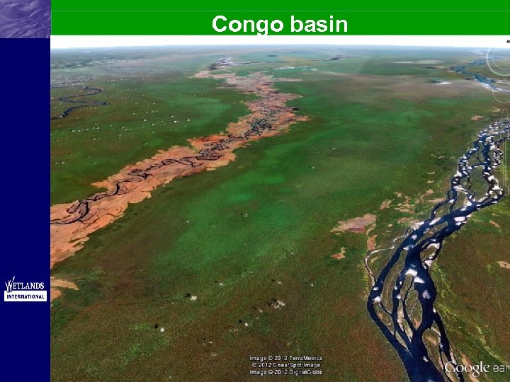 Congo basin 