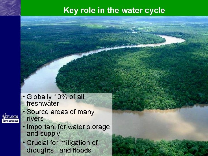 Key role in the water cycle • Globally 10% of all freshwater • Source