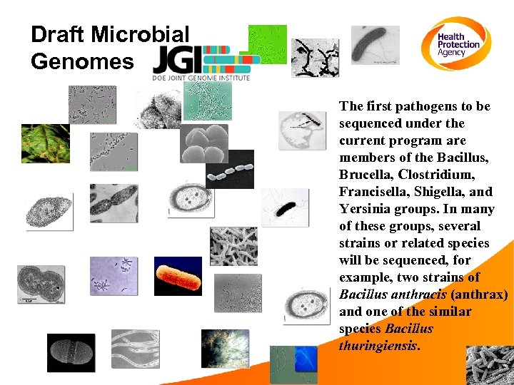Draft Microbial Genomes The first pathogens to be sequenced under the current program are
