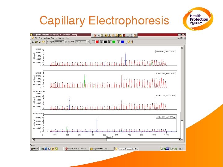 Capillary Electrophoresis 