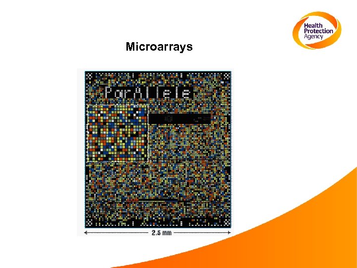 Microarrays 
