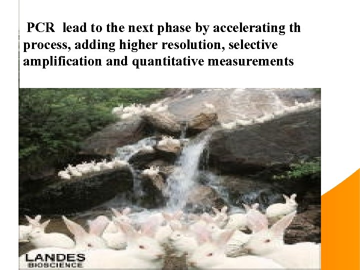 PCR lead to the next phase by accelerating the process, adding higher resolution, selective