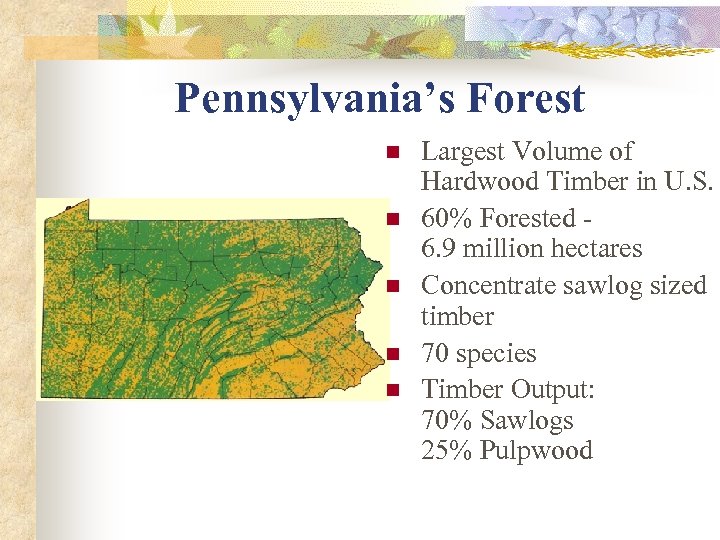 Pennsylvania’s Forest n n n Largest Volume of Hardwood Timber in U. S. 60%