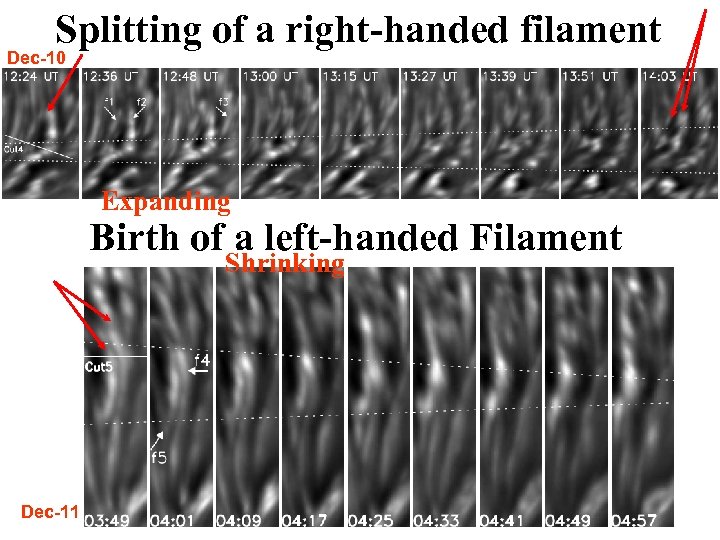 Splitting of a right-handed filament Dec-10 Expanding Birth of a left-handed Filament Shrinking Dec-11