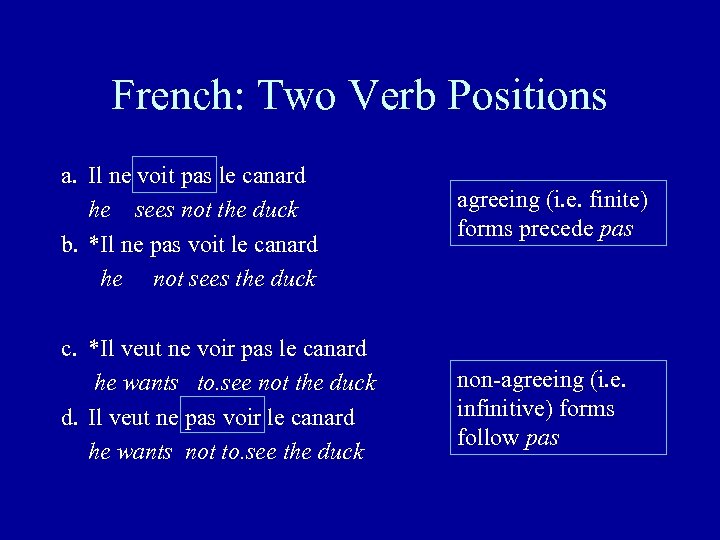 French: Two Verb Positions a. Il ne voit pas le canard he sees not