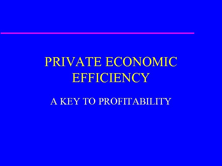 PRIVATE ECONOMIC EFFICIENCY A KEY TO PROFITABILITY 