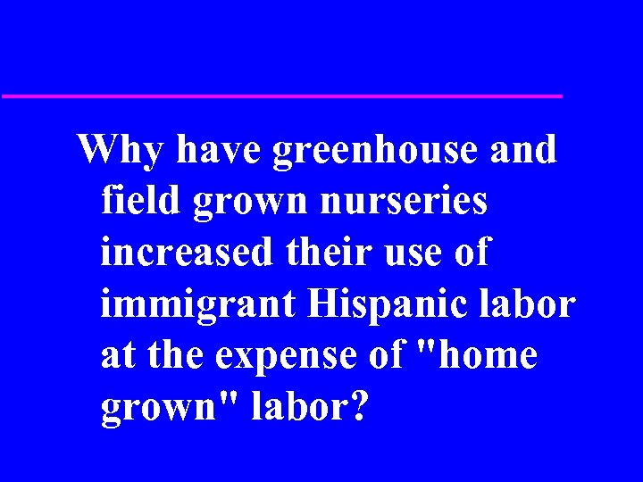 Why have greenhouse and field grown nurseries increased their use of immigrant Hispanic labor