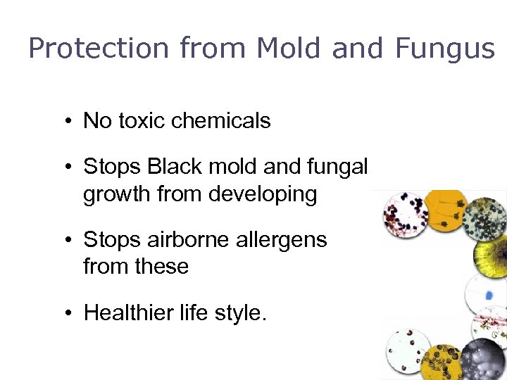 Protection from Mold and Fungus • No toxic chemicals • Stops Black mold and