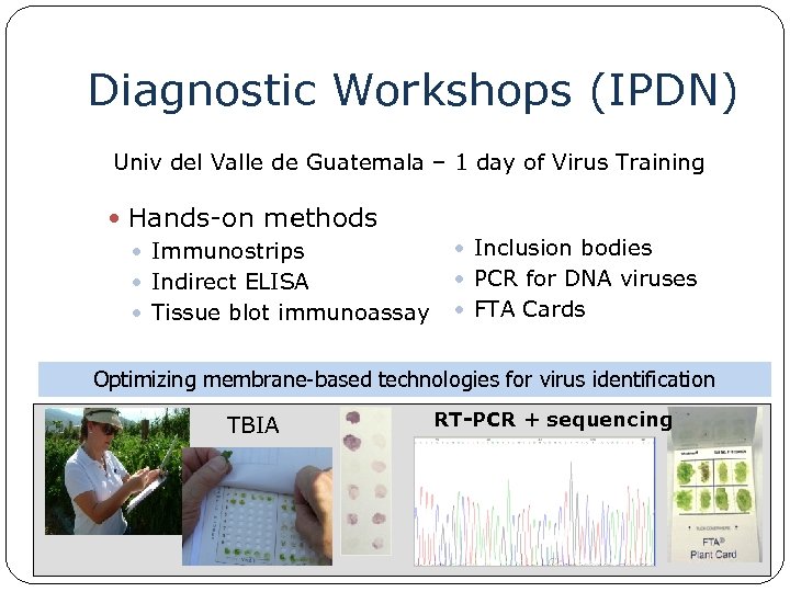 Diagnostic Workshops (IPDN) Univ del Valle de Guatemala – 1 day of Virus Training