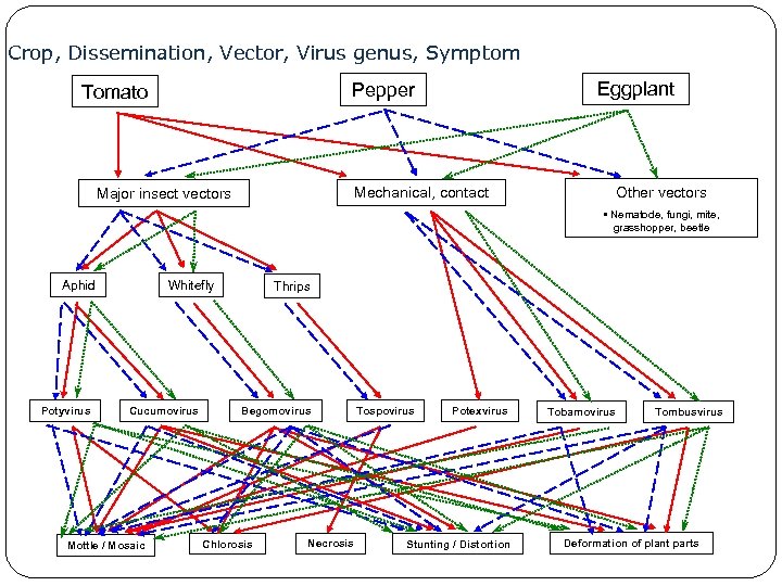 Crop, Dissemination, Vector, Virus genus, Symptom Eggplant Pepper Tomato Mechanical, contact Major insect vectors