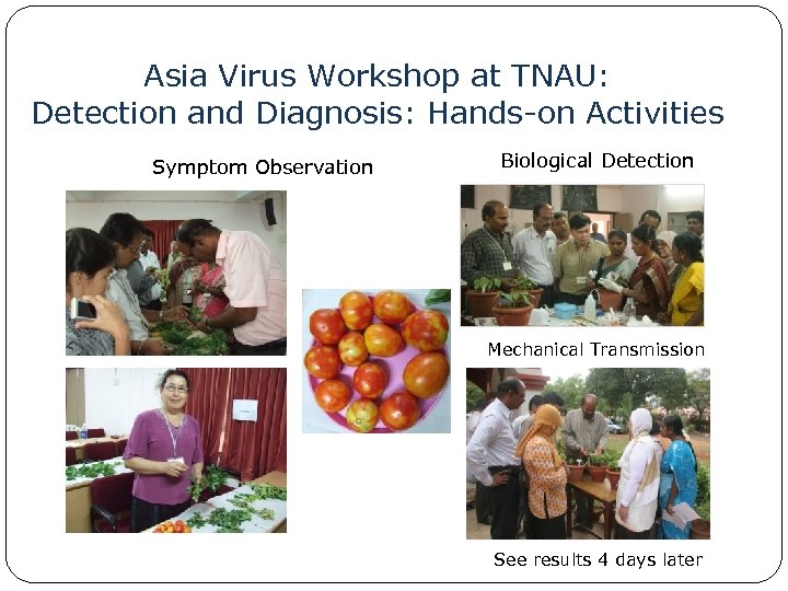 Asia Virus Workshop at TNAU: Detection and Diagnosis: Hands-on Activities Symptom Observation Biological Detection