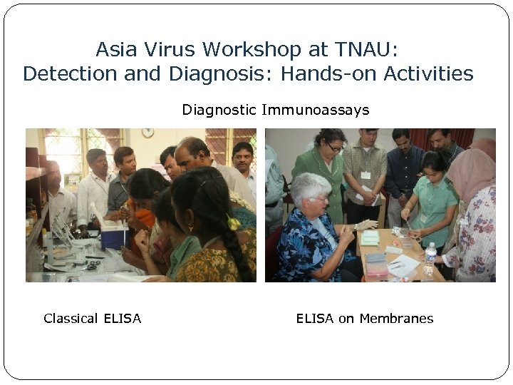Asia Virus Workshop at TNAU: Detection and Diagnosis: Hands-on Activities Diagnostic Immunoassays Classical ELISA