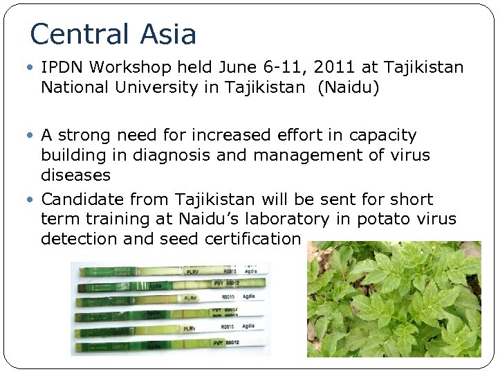 Central Asia IPDN Workshop held June 6 -11, 2011 at Tajikistan National University in