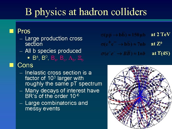 B physics at hadron colliders n Pros – Large production cross section – All