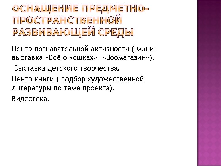 Центр познавательной активности ( минивыставка «Всё о кошках» , «Зоомагазин» ). Выставка детского творчества.