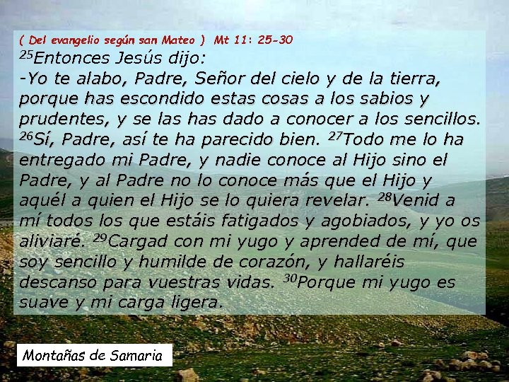 ( Del evangelio según san Mateo ) Mt 11: 25 -30 25 Entonces Jesús
