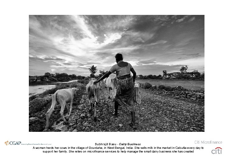 Subhrajit Basu - Dairy Business A woman herds her cows in the village of