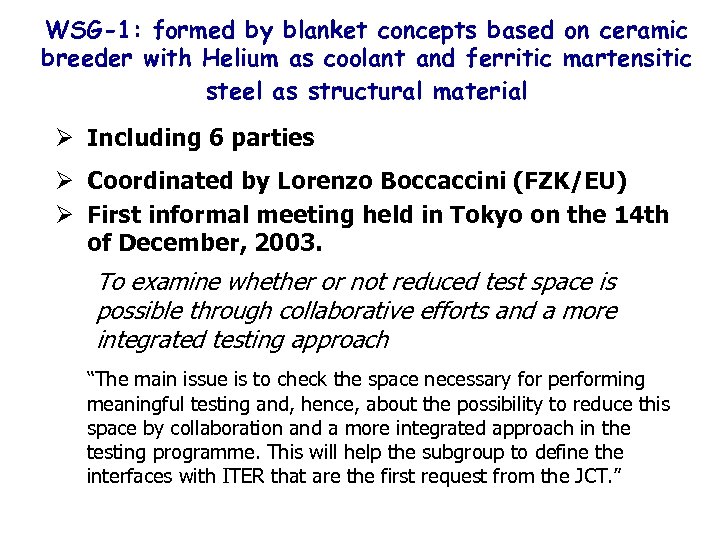 WSG-1: formed by blanket concepts based on ceramic breeder with Helium as coolant and