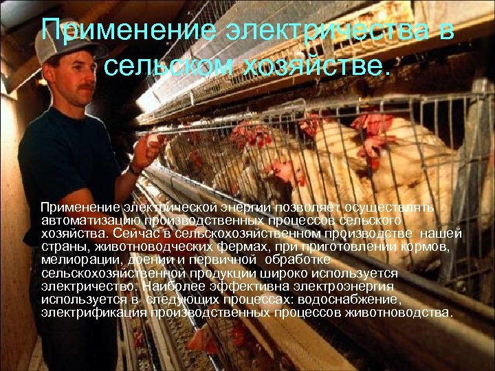 Применение электричества в сельском хозяйстве. Применение электрической энергии позволяет осуществлять автоматизацию производственных процессов сельского