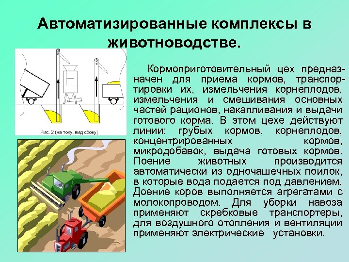 Автоматизированные комплексы в животноводстве. Кормоприготовительный цех предназначен для приема кормов, транспортировки их, измельчения корнеплодов,