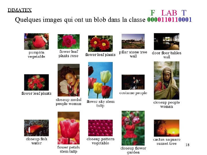 DIMATEX F LAB T Quelques images qui ont un blob dans la classe 0000110110001