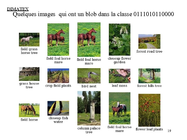 DIMATEX Quelques images qui ont un blob dans la classe 0111010110000 19 