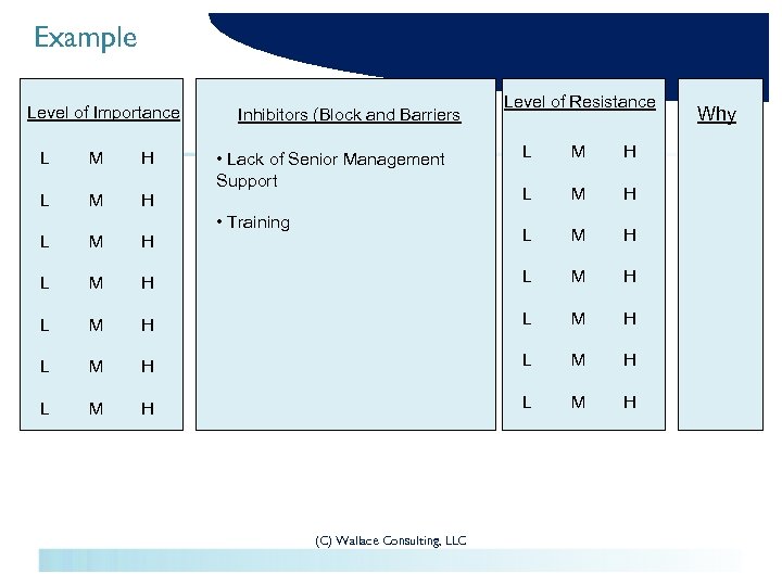 Example Level of Importance L M H L M Inhibitors (Block and Barriers H