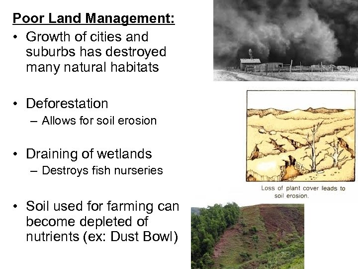 Poor Land Management: • Growth of cities and suburbs has destroyed many natural habitats