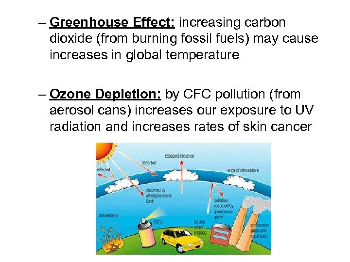 – Greenhouse Effect: increasing carbon dioxide (from burning fossil fuels) may cause increases in