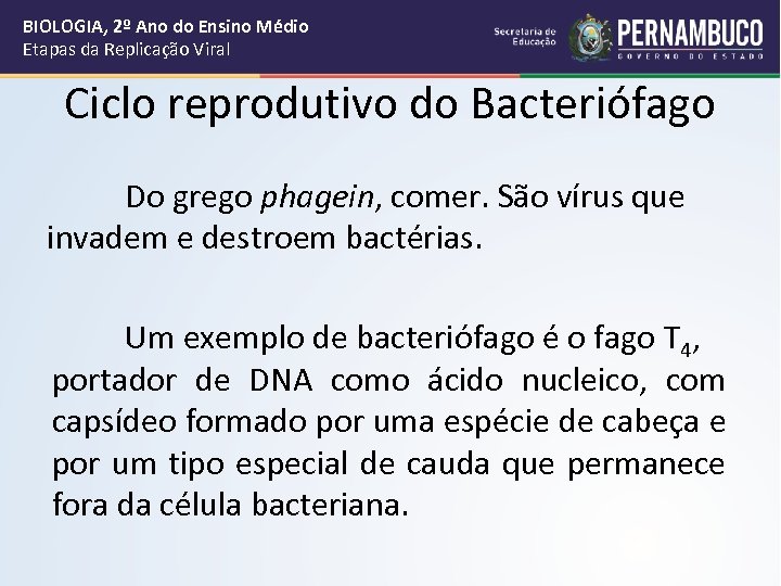 BIOLOGIA, 2º Ano do Ensino Médio Etapas da Replicação Viral Ciclo reprodutivo do Bacteriófago