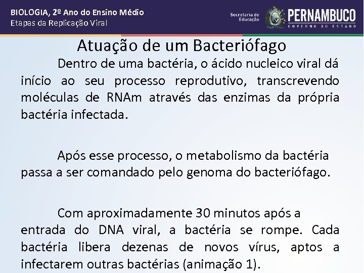BIOLOGIA, 2º Ano do Ensino Médio Etapas da Replicação Viral Atuação de um Bacteriófago